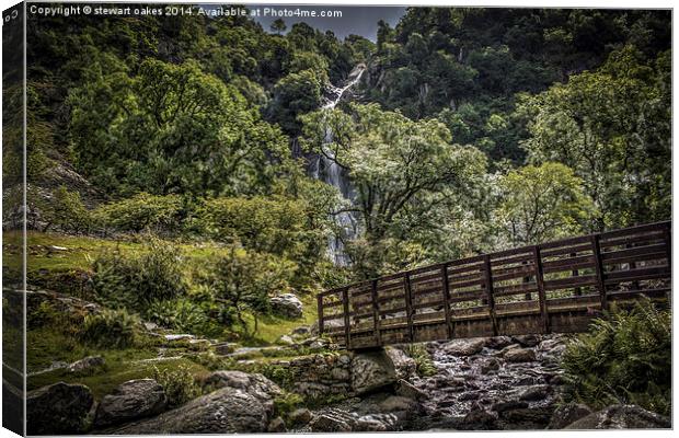 Path to Aber Falls 2 Canvas Print by stewart oakes