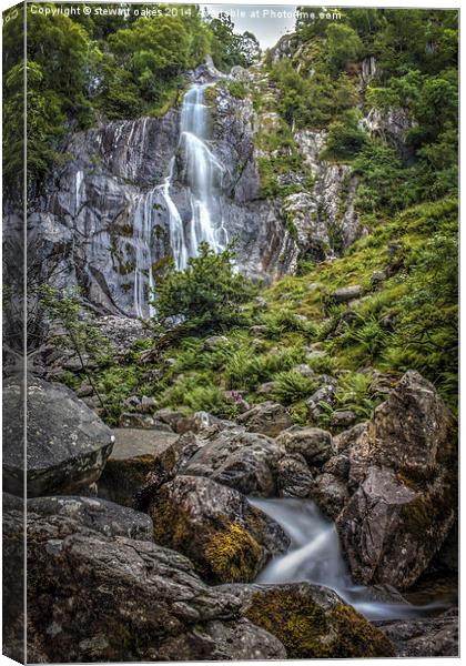 Path to Aber Falls 3 Canvas Print by stewart oakes