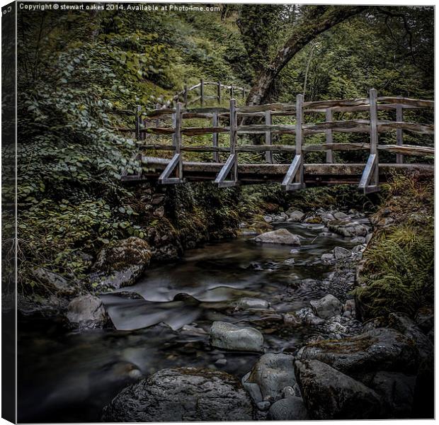 Path to Aber Falls 5 Canvas Print by stewart oakes