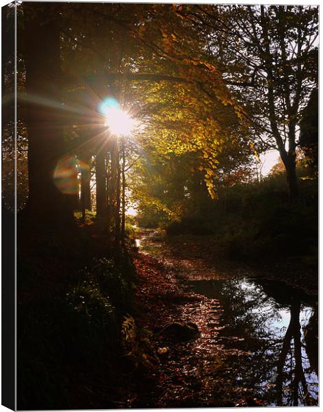 reflections of Autumn Canvas Print by David Ingram
