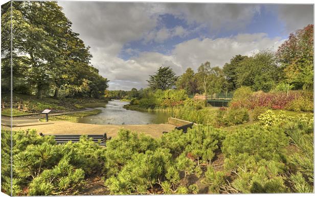 STANLEY PARK Canvas Print by Shaun Dickinson