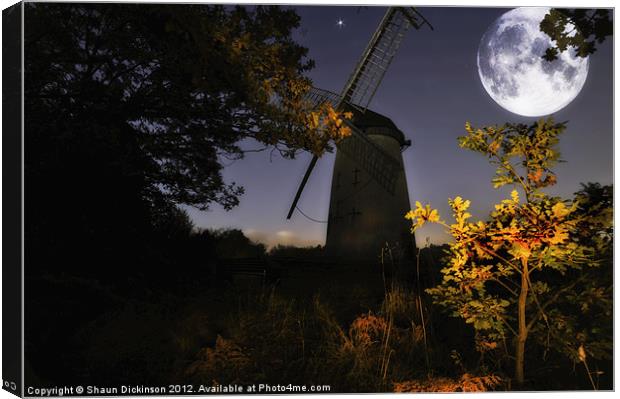 BY THE LIGHT OF THE SILVERY MOON Canvas Print by Shaun Dickinson
