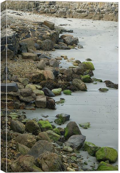 Tide Out Canvas Print by Philip Needham