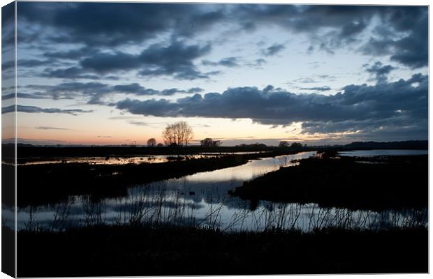Buckenham Marshes at Sunset April 2012 Canvas Print by Howie Marsh