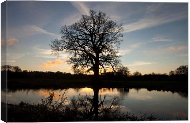 Winter Reflection Canvas Print by Howie Marsh