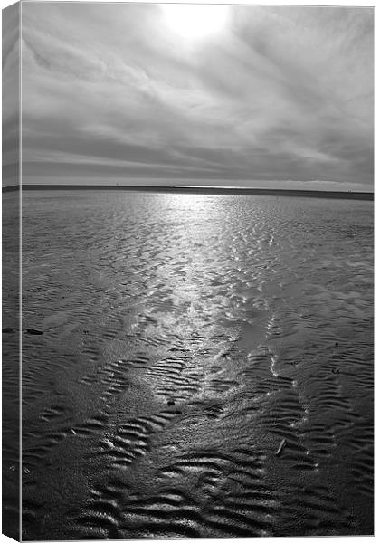 The Beach Canvas Print by Andrew Rotherham