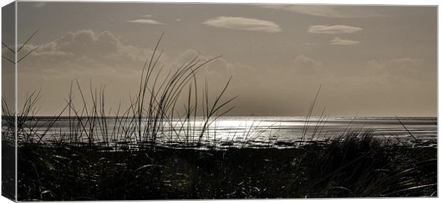 The Fylde Coast Canvas Print by Andrew Rotherham