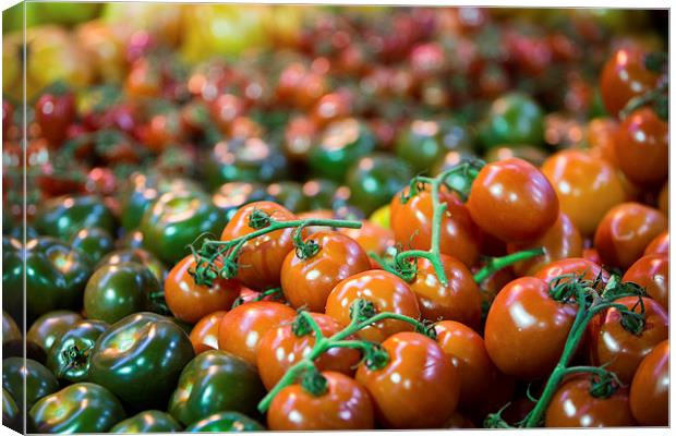 Various  luscious ripe tomatoes Canvas Print by Martin Patten