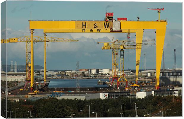 HARLAND AND WOLFF CRANES BELFAST Canvas Print by Noel Sofley