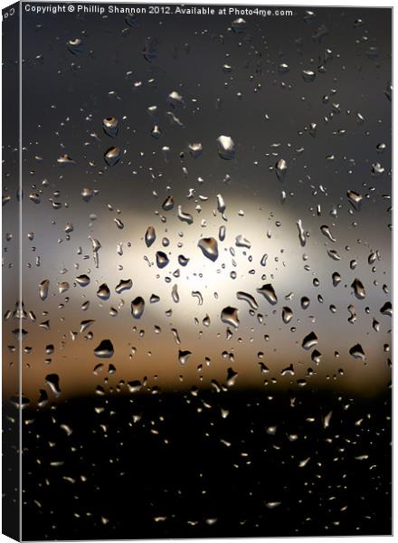 Rain drops 01 Canvas Print by Phillip Shannon