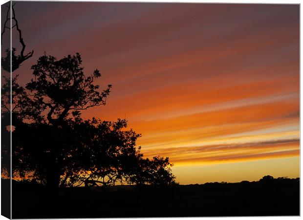 red sunset Canvas Print by catrin jones