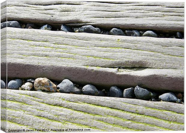 Sea Defense Timbers Canvas Print by Janet Tate