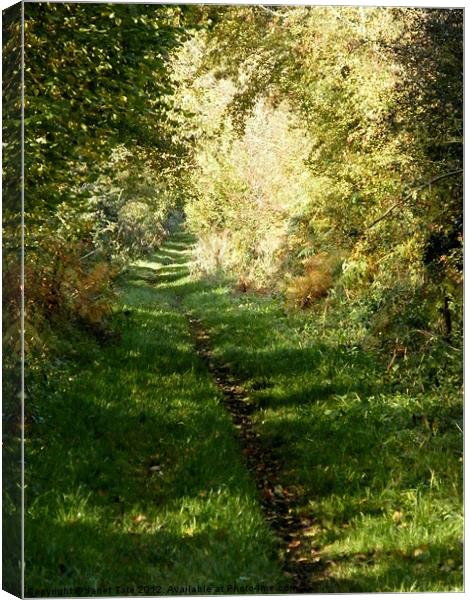 An Autumn Walk, Peddars Way Canvas Print by Janet Tate