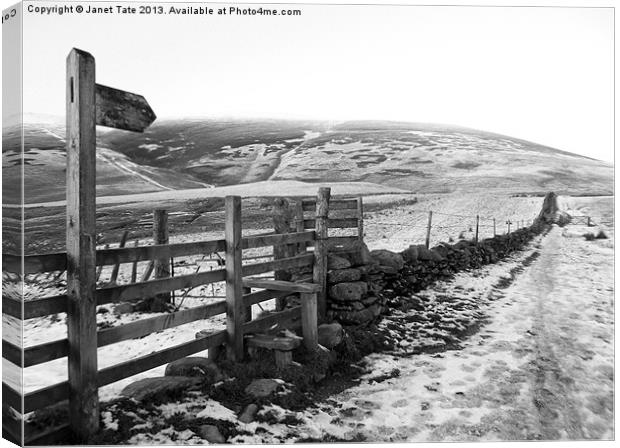 Lake District Path Canvas Print by Janet Tate