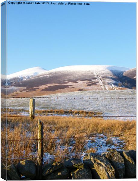 Snow capped Skiddaw Canvas Print by Janet Tate