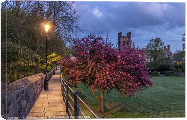 Chester Cathedral from the city walls. Canvas Print by Paul Madden