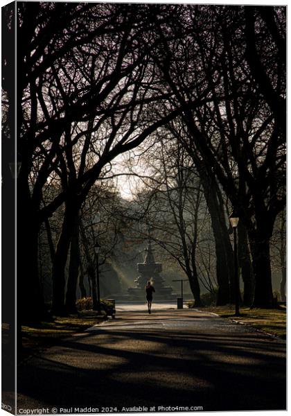Jogger in the park Canvas Print by Paul Madden