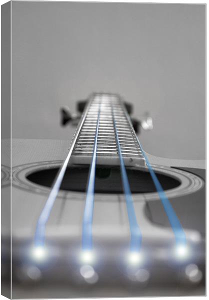 Blue String Bass Canvas Print by Paul Madden