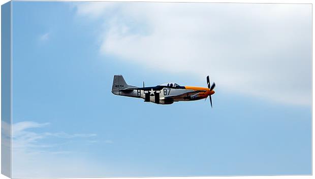 P51 Mustang Canvas Print by Paul Madden