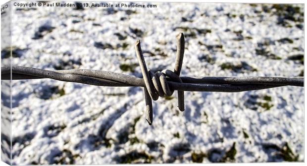 Barbed wire in the snow Canvas Print by Paul Madden
