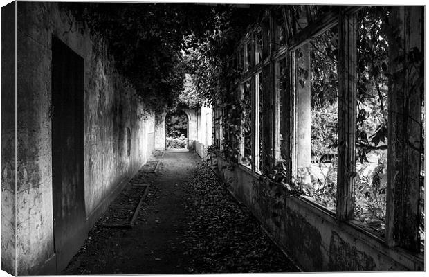 Corridor through the past Canvas Print by Paul Madden