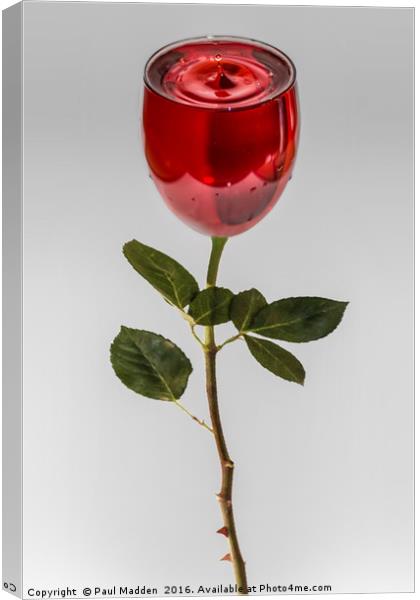 A glass of rose Canvas Print by Paul Madden