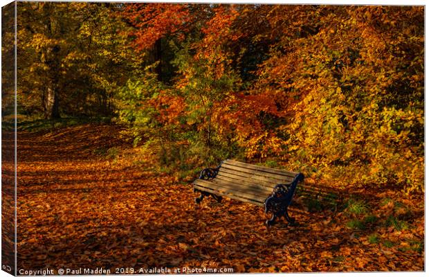 Park bench in Autumn Canvas Print by Paul Madden