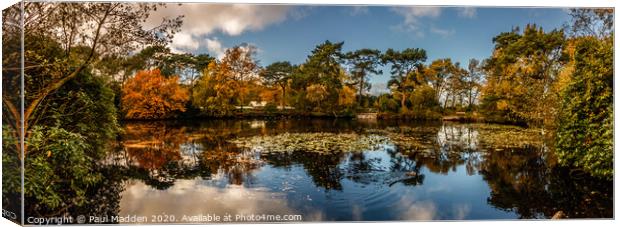 Royden Park Lake Canvas Print by Paul Madden