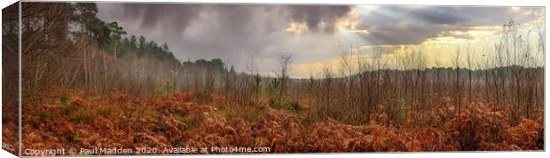 Delamere Forest Panorama Canvas Print by Paul Madden