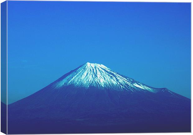 Snow-capped Fuji Canvas Print by Daniel Gilroy