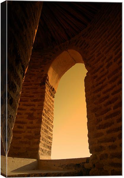 way out Canvas Print by mohammed hayat