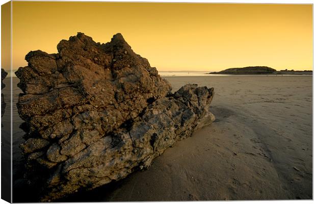 Rock on the beach Canvas Print by mohammed hayat
