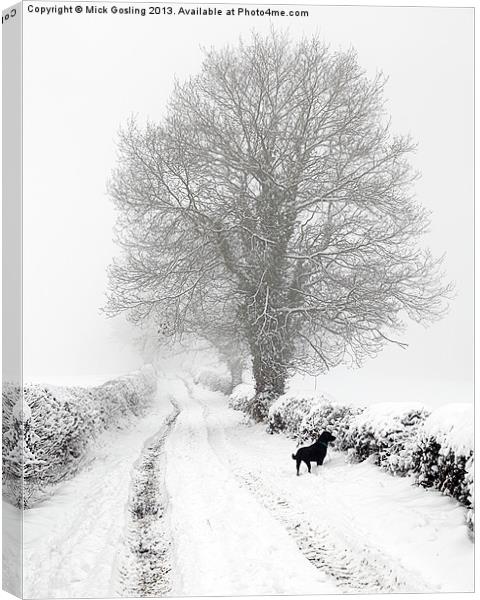 Winter Lane Canvas Print by RSRD Images 