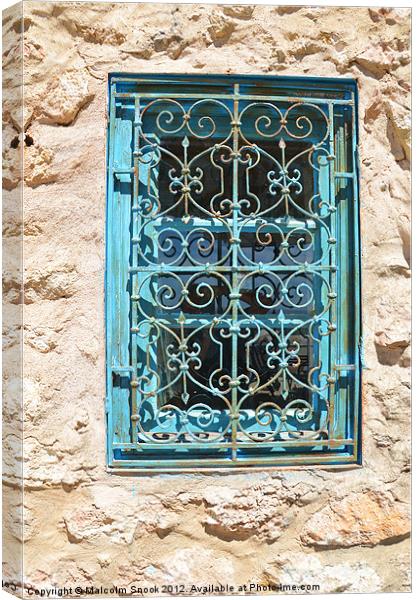 Light blue window grille Canvas Print by Malcolm Snook