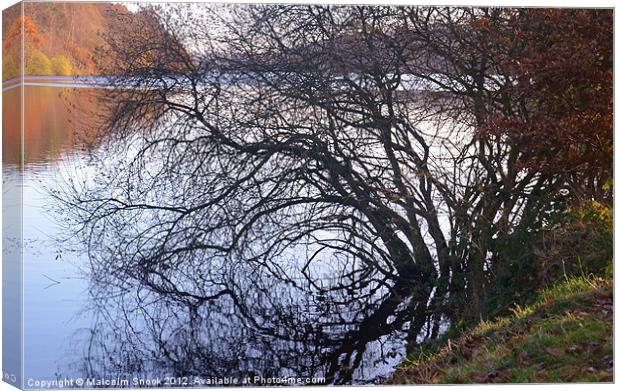 Reflections of autumn Canvas Print by Malcolm Snook