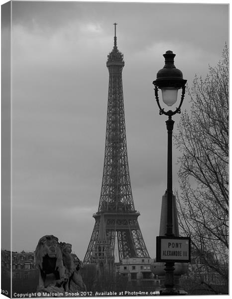 Eiffel Tower from the Seine Canvas Print by Malcolm Snook