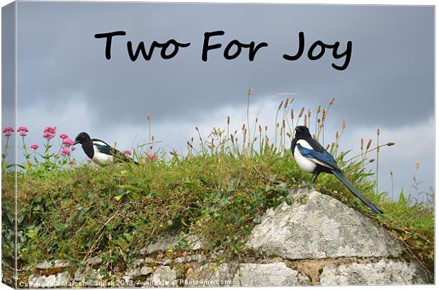 Two For Joy Canvas Print by Malcolm Snook
