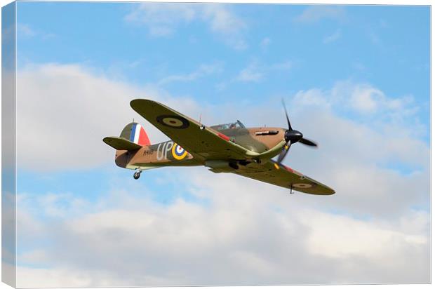 Wingman Canvas Print by Malcolm Snook