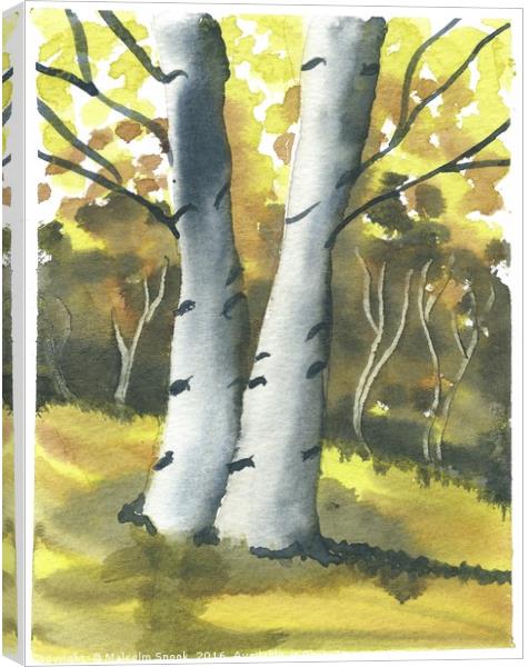 Silver Birch Forest Canvas Print by Malcolm Snook