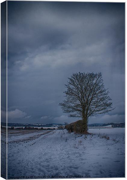 Cold Tranquillity Canvas Print by Keith Cullis