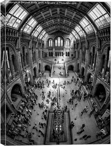 Natural History Museum, London Canvas Print by Stephen Birch