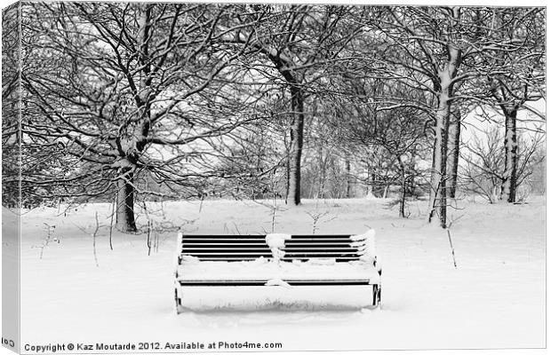 Snow covered park bench Canvas Print by Kaz Moutarde