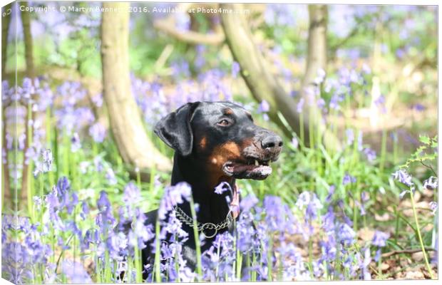 thelma in bluebells Canvas Print by Martyn Bennett