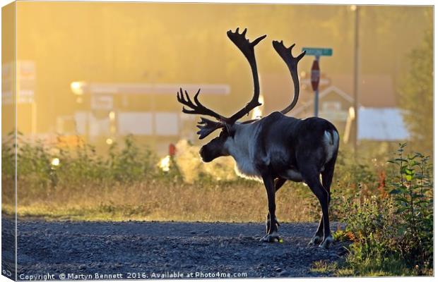 early morning caribou Canvas Print by Martyn Bennett