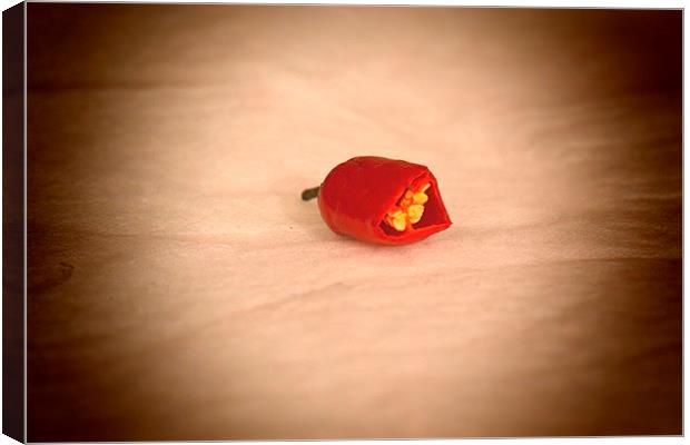 Red Chilli Pepper Canvas Print by Michael Bolton