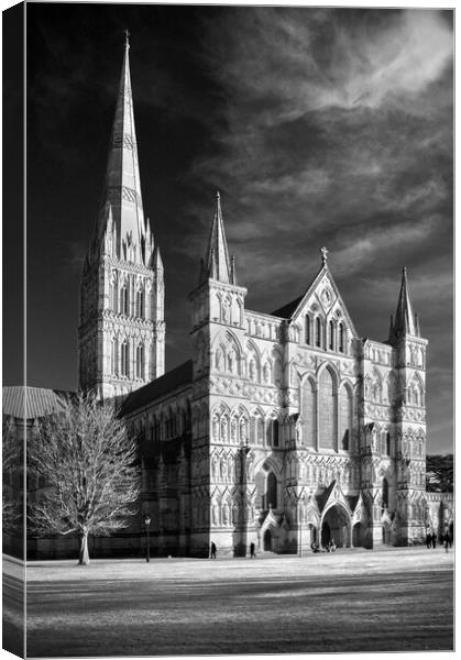 Salisbury Cathedral Canvas Print by Darren Galpin