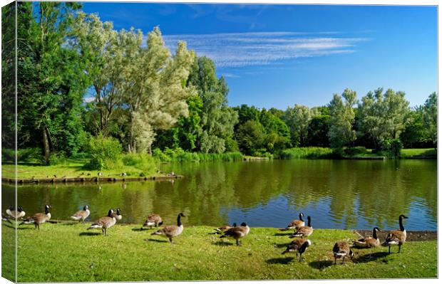 Dearne Valley Country Park Canvas Print by Darren Galpin