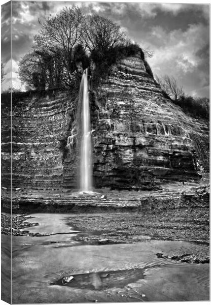 St Audries Bay Waterfall  Canvas Print by Darren Galpin