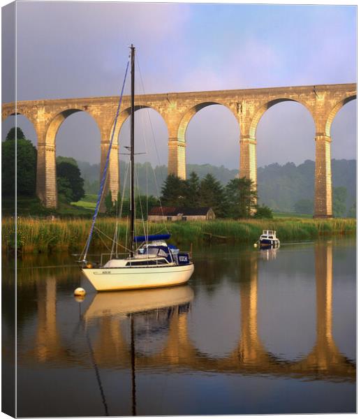 Calstock Viaduct & River Tamar Canvas Print by Darren Galpin