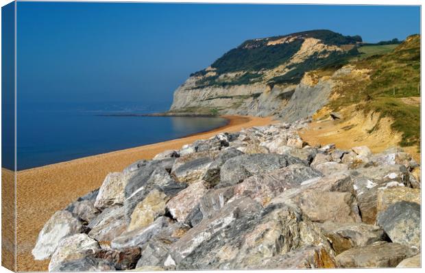 Seatown Beach and Golden Cap Canvas Print by Darren Galpin